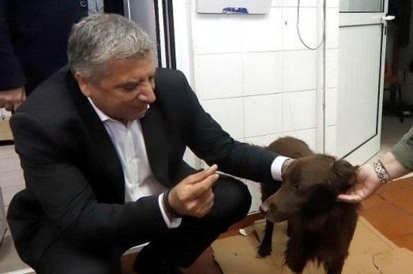 Δήλωση του Περιφερειάρχη Αττικής Γ. Πατούλη για την Παγκόσμια Ημέρα Ζώων