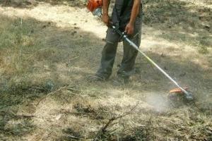 Παράταση   έως τις 15 Ιουνίου για τον καθαρισμό των οικοπέδων