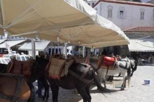 Επιστολή Γ. Κουκουδάκη στον Υπουργό Αγροτ. Ανάπτυξης για αποζημίωση αγωγιατών εξαιτίας του καύσωνα