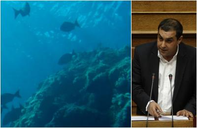 Ερώτηση Κώστα Κατσαφάδου για την απουσία της Ελλάδας από τη διάσκεψη για το μέλλον των θαλασσών