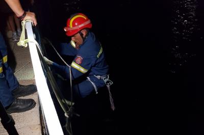 Διάσωση γάτας  από το Εθελοντικό Πυροσβεστικό Κλιμάκιο Ύδρας