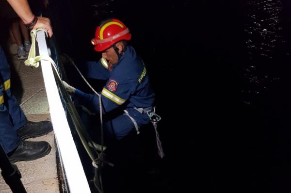 Διάσωση γάτας  από το Εθελοντικό Πυροσβεστικό Κλιμάκιο Ύδρας