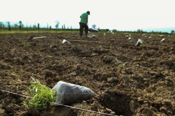 Προκήρυξη για υποβολή αιτήσεων για την «Ανάπτυξη μικρών γεωργικών εκμεταλλεύσεων»