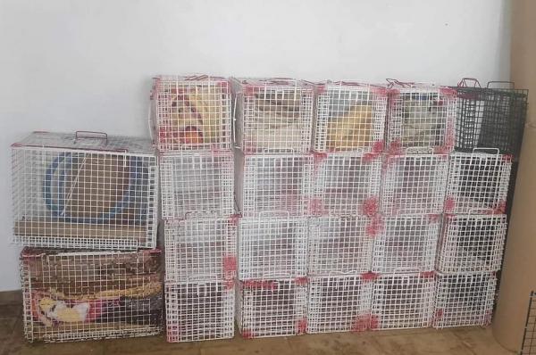 Υδραϊκή Κιβωτός:  Παράκληση για επιστροφή των κλουβιών μεταφοράς στο φιλοζωικό σωματείο