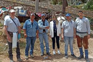 Ολοκληρώθηκε με επιτυχία το ετήσιο πρόγραμμα φροντίδας ιπποειδών του Δήμου Ύδρας