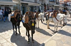 Υδραϊκή Κιβωτός:  Το χρονικό ενός στεγάστρου και δύο γουρνών