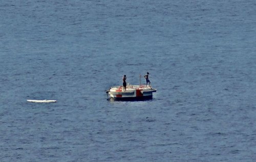 Η «μοναχική» τσαμαδούρα έδωσε... ιδέες