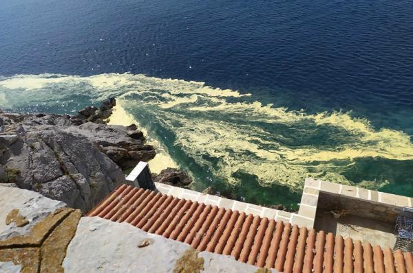 Ένα περίεργο φαινόμενο. Κιτρίνισε η θάλασσα στην Ύδρα!