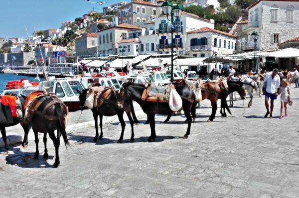 Η "Υδραϊκή Κιβωτός" ζητά απαντήσεις για τις ομπρέλες και την ποτίστρα στο λιμάνι