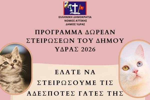 Δήμος Ύδρας:  Δωρεάν στειρώσεις αδέσποτων γατών από 3 έως 7 Φεβρουαρίου