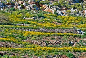 Η φύση και το θαύμα της