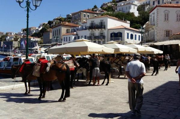 Τοποθετήθηκαν τα σκίαστρα για τα ιπποειδή στο λιμάνι της Ύδρας