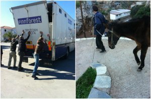 Φροντίζουν τα άλογα όταν γεράσουν... Μια νέα ξεκούραστη ζωή περιμένει τους δυο τετράποδους εργάτες της καθαριότητας
