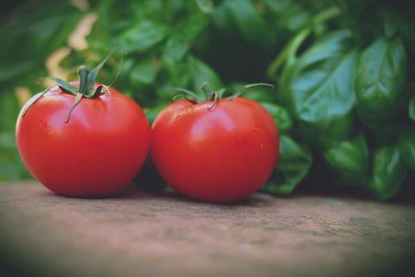 Η επιστήμη  μίλησε με έρευνα | Γιατί δεν πρέπει να αποθηκεύετε τις ντομάτες στο ψυγείο