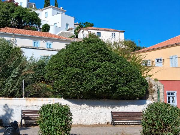 Ολοκληρώθηκε   η αποκομιδή των απορριμμάτων στο Καμίνι μετά τις εργασίες του αποχετευτικού