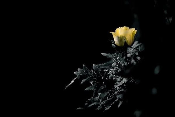 Ευχαριστήριο   της οικογένειας της Πετρούλας Μανιάτη για την συμπαράσταση στο πένθος τους