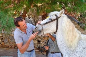 Υδραϊκή Κιβωτός:  Συνεχίζεται το πρόγραμμα της κτηνιατρικής φροντίδας των ιπποειδών της Ύδρας