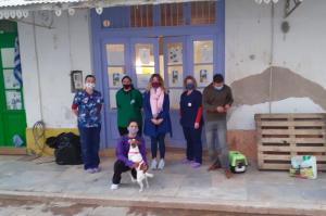 Συνεχίζεται η διεξαγωγή του προγράμματος στειρώσεων αδέσποτων γατών από τον Δήμο Ύδρας