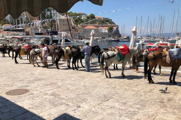 Ρωτούν οι πολίτες γιατί οι ομπρέλες για τα ιπποειδή παραμένουν κλειστές