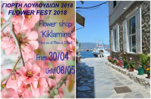 Γιορτή λουλουδιών εν όψει Πρωτομαγιάς στο Ανθοπωλείο "Κυκλάμινο" στην Ύδρα
