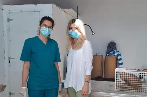 Ολοκληρώθηκε με επιτυχία το διήμερο πρόγραμμα στειρώσεων αδέσποτων γατών του Δήμου Ύδρας