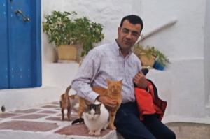 Η απάντηση του Δημάρχου Ύδρας Γ. Κουκουδάκη στο φιλοζωικό σωματείο "η Κιβωτός της Ύδρας"