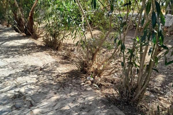 Καθαρισμός και καλλωπισμός σε σημεία δυο περιοχών της Ύδρας