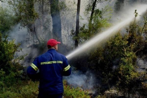 Πυρκαγιά σε δασική έκταση στις Σπέτσες