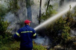 Πυρκαγιά σε δασική έκταση στις Σπέτσες