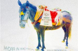 ANIMART ΣΤΗΝ ΥΔΡΑ: Όλο το πρόγραμμα των εκδηλώσεων και των δράσεων (έως 31/7/19)