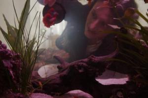 Στην Ανθή Δαουτάκη το Βραβείο Καλύτερης Ταινίας του 1ου Διεθνούς Φεστιβάλ Ταινιών Μικρού Μήκους «Θόδωρος Αγγελόπουλος»