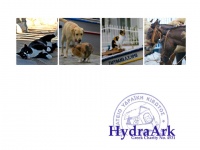 Επιστολή επαγρύπνησης για τα αδέσποτα ζώα από την Κιβωτό της Ύδρας