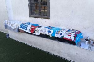 Από τη δράση στειρώσεων, εμβολιασμού και ηλεκτρονικής καταγραφής για τα αδέσποτα ζώα