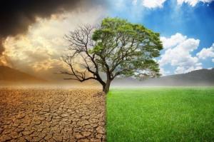 Πόσο άλλαξε  το κλίμα τα τελευταία χρόνια;