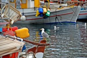 Ζεις το καλοκαίρι που αγαπάς!