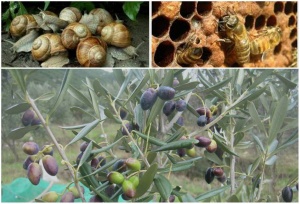 Ενίσχυση νέων γεωργών από το Υπουργείο Αγροτικής Ανάπτυξης