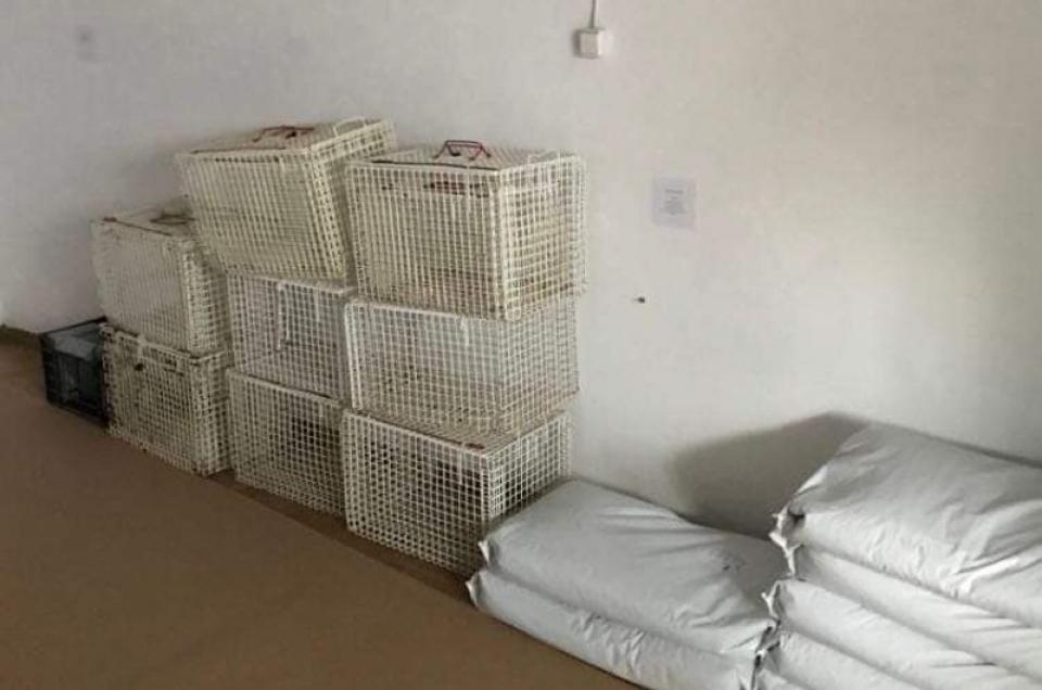 Δωρεά ειδικών κλουβιών μεταφοράς γατών από την Υδραϊκή Κιβωτό στον Δήμο Ύδρας