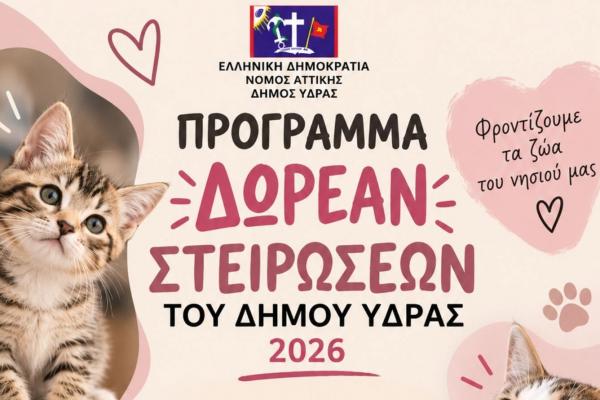 Πρόγραμμα δωρεάν   στειρώσεων αδέσποτων γατών Δήμου Ύδρας