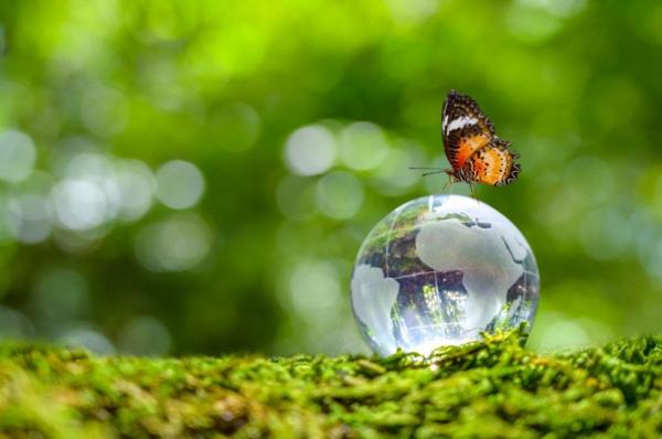 Ο «Κόκκινος Κατάλογος» «ασπίδα» προστασίας για 17.000 ζώα και φυτά