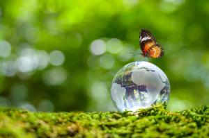 Ο «Κόκκινος Κατάλογος» «ασπίδα» προστασίας για 17.000 ζώα και φυτά