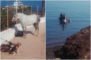 Αναστάτωση από την πρωινή ένταση στη μικρή παραλία στις Πλάκες του Βλυχού