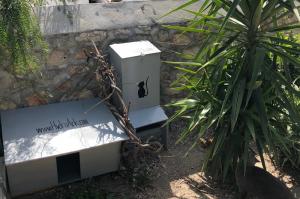 Υδραϊκή Κιβωτός:  Φροντίδα για τις γάτες και στην περιοχή της Υπαπαντής