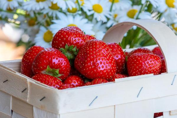 Ποια φρέσκα λαχανικά και φρούτα εποχής απολαμβάνουμε τον Απρίλιο;