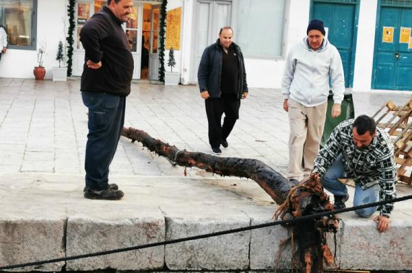 Επικίνδυνος κορμός δέντρου ανασύρθηκε από τη θάλασσα της Ύδρας για να μην προκληθούν ατυχήματα