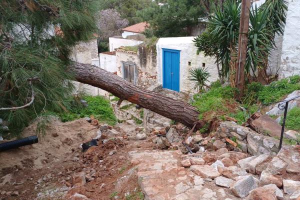 Πτώση πεύκου   σε δημοτικό χώρο - Δεσμεύσεις Γ. Κουκουδάκη για άμεσες παρεμβάσεις στην περιοχή