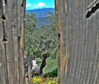 Μια χαραμάδα αλήθειας