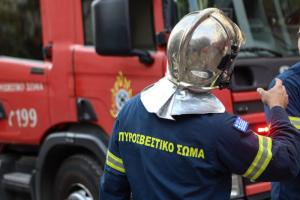 ΕΔΕ της Πυροσβεστικής για τη φωτιά στην Ύδρα - Μετακινήθηκαν δύο στελέχη της ΔΑΕΕ