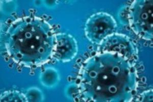 Οδηγίες   για τον ανθρώπινο μεταπνευμοϊό (HMPV) από την Ελληνική Πνευμονολογική Εταιρεία