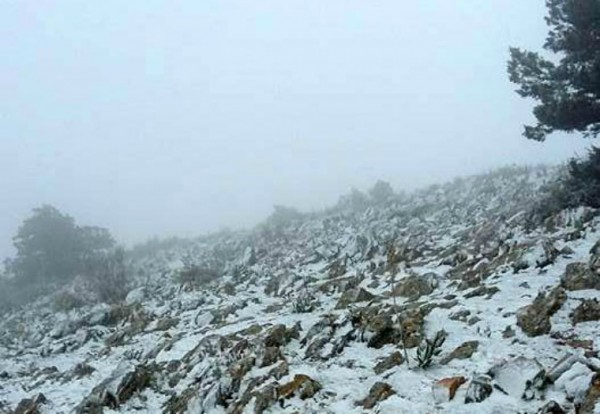 Στα λευκά τα ορεινά της Ύδρας