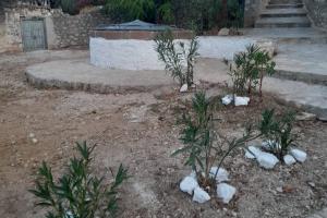 Εργασίες βελτίωσης  του χώρου γύρω από το γήπεδο και τον Άγιο Παντελεήμονα